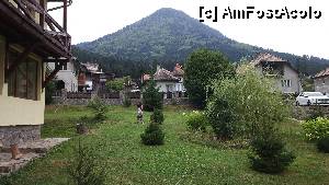 [P03]  -- <small>// FĂRĂ DESCRIERE</small> » foto by florin99
 - 
<span class="allrVoted glyphicon glyphicon-heart hidden" id="av469933"></span>
<a class="m-l-10 hidden" id="sv469933" onclick="voting_Foto_DelVot(,469933,4977)" role="button">șterge vot <span class="glyphicon glyphicon-remove"></span></a>
<a id="v9469933" class=" c-red"  onclick="voting_Foto_SetVot(469933)" role="button"><span class="glyphicon glyphicon-heart-empty"></span> <b>LIKE</b> = Votează poza</a> <img class="hidden"  id="f469933W9" src="/imagini/loader.gif" border="0" /><span class="AjErrMes hidden" id="e469933ErM"></span>