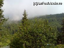 [P04] Cam asa arata in iulie padurea virgina. O splendoare, nu sunt cuvinte sa descriu ce frumoasa este natura in acele locuri. » foto by limac
 - 
<span class="allrVoted glyphicon glyphicon-heart hidden" id="av50537"></span>
<a class="m-l-10 hidden" id="sv50537" onclick="voting_Foto_DelVot(,50537,4977)" role="button">șterge vot <span class="glyphicon glyphicon-remove"></span></a>
<a id="v950537" class=" c-red"  onclick="voting_Foto_SetVot(50537)" role="button"><span class="glyphicon glyphicon-heart-empty"></span> <b>LIKE</b> = Votează poza</a> <img class="hidden"  id="f50537W9" src="/imagini/loader.gif" border="0" /><span class="AjErrMes hidden" id="e50537ErM"></span>