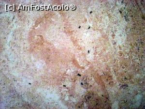 [P22] Aici sunt deja cadavre!  » foto by Zoazore
 - 
<span class="allrVoted glyphicon glyphicon-heart hidden" id="av756446"></span>
<a class="m-l-10 hidden" id="sv756446" onclick="voting_Foto_DelVot(,756446,5032)" role="button">șterge vot <span class="glyphicon glyphicon-remove"></span></a>
<a id="v9756446" class=" c-red"  onclick="voting_Foto_SetVot(756446)" role="button"><span class="glyphicon glyphicon-heart-empty"></span> <b>LIKE</b> = Votează poza</a> <img class="hidden"  id="f756446W9" src="/imagini/loader.gif" border="0" /><span class="AjErrMes hidden" id="e756446ErM"></span>