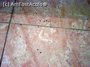 [P23] Resturi de furnici.  » foto by Zoazore
 - 
<span class="allrVoted glyphicon glyphicon-heart hidden" id="av756447"></span>
<a class="m-l-10 hidden" id="sv756447" onclick="voting_Foto_DelVot(,756447,5032)" role="button">șterge vot <span class="glyphicon glyphicon-remove"></span></a>
<a id="v9756447" class=" c-red"  onclick="voting_Foto_SetVot(756447)" role="button"><span class="glyphicon glyphicon-heart-empty"></span> <b>LIKE</b> = Votează poza</a> <img class="hidden"  id="f756447W9" src="/imagini/loader.gif" border="0" /><span class="AjErrMes hidden" id="e756447ErM"></span>
