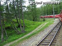 [P01] Bernina Express - vedere din vagonul descoperit » foto by Liaa*
 - 
<span class="allrVoted glyphicon glyphicon-heart hidden" id="av70549"></span>
<a class="m-l-10 hidden" id="sv70549" onclick="voting_Foto_DelVot(,70549,5061)" role="button">șterge vot <span class="glyphicon glyphicon-remove"></span></a>
<a id="v970549" class=" c-red"  onclick="voting_Foto_SetVot(70549)" role="button"><span class="glyphicon glyphicon-heart-empty"></span> <b>LIKE</b> = Votează poza</a> <img class="hidden"  id="f70549W9" src="/imagini/loader.gif" border="0" /><span class="AjErrMes hidden" id="e70549ErM"></span>