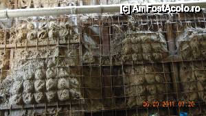 [P01] Asta e peisajul pe care l-am vazut prima oara cand am intrat in camera de la subsol, zic eu...  » foto by livv1973
 - 
<span class="allrVoted glyphicon glyphicon-heart hidden" id="av433889"></span>
<a class="m-l-10 hidden" id="sv433889" onclick="voting_Foto_DelVot(,433889,5069)" role="button">șterge vot <span class="glyphicon glyphicon-remove"></span></a>
<a id="v9433889" class=" c-red"  onclick="voting_Foto_SetVot(433889)" role="button"><span class="glyphicon glyphicon-heart-empty"></span> <b>LIKE</b> = Votează poza</a> <img class="hidden"  id="f433889W9" src="/imagini/loader.gif" border="0" /><span class="AjErrMes hidden" id="e433889ErM"></span>