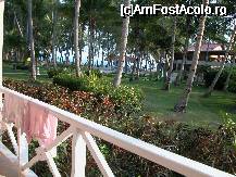 [P01]  -- <small>// FĂRĂ DESCRIERE</small> » foto by Daniel35
 - 
<span class="allrVoted glyphicon glyphicon-heart hidden" id="av54125"></span>
<a class="m-l-10 hidden" id="sv54125" onclick="voting_Foto_DelVot(,54125,5086)" role="button">șterge vot <span class="glyphicon glyphicon-remove"></span></a>
<a id="v954125" class=" c-red"  onclick="voting_Foto_SetVot(54125)" role="button"><span class="glyphicon glyphicon-heart-empty"></span> <b>LIKE</b> = Votează poza</a> <img class="hidden"  id="f54125W9" src="/imagini/loader.gif" border="0" /><span class="AjErrMes hidden" id="e54125ErM"></span>