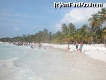 [P10] pr insula Saona, palmieri superbi... » foto by Daniel35
 - 
<span class="allrVoted glyphicon glyphicon-heart hidden" id="av54134"></span>
<a class="m-l-10 hidden" id="sv54134" onclick="voting_Foto_DelVot(,54134,5086)" role="button">șterge vot <span class="glyphicon glyphicon-remove"></span></a>
<a id="v954134" class=" c-red"  onclick="voting_Foto_SetVot(54134)" role="button"><span class="glyphicon glyphicon-heart-empty"></span> <b>LIKE</b> = Votează poza</a> <img class="hidden"  id="f54134W9" src="/imagini/loader.gif" border="0" /><span class="AjErrMes hidden" id="e54134ErM"></span>