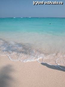 [P07] ce apa... si ce nisip... » foto by Daniel35
 - 
<span class="allrVoted glyphicon glyphicon-heart hidden" id="av54131"></span>
<a class="m-l-10 hidden" id="sv54131" onclick="voting_Foto_DelVot(,54131,5086)" role="button">șterge vot <span class="glyphicon glyphicon-remove"></span></a>
<a id="v954131" class=" c-red"  onclick="voting_Foto_SetVot(54131)" role="button"><span class="glyphicon glyphicon-heart-empty"></span> <b>LIKE</b> = Votează poza</a> <img class="hidden"  id="f54131W9" src="/imagini/loader.gif" border="0" /><span class="AjErrMes hidden" id="e54131ErM"></span>