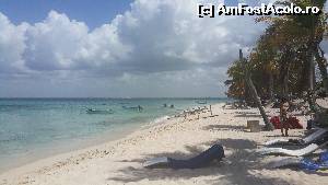 [P04] Catalina, visul oricarui om » foto by atimespeed
 - 
<span class="allrVoted glyphicon glyphicon-heart hidden" id="av652479"></span>
<a class="m-l-10 hidden" id="sv652479" onclick="voting_Foto_DelVot(,652479,5086)" role="button">șterge vot <span class="glyphicon glyphicon-remove"></span></a>
<a id="v9652479" class=" c-red"  onclick="voting_Foto_SetVot(652479)" role="button"><span class="glyphicon glyphicon-heart-empty"></span> <b>LIKE</b> = Votează poza</a> <img class="hidden"  id="f652479W9" src="/imagini/loader.gif" border="0" /><span class="AjErrMes hidden" id="e652479ErM"></span>