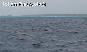 [P09] Culori de mare » foto by viho
 - 
<span class="allrVoted glyphicon glyphicon-heart hidden" id="av979952"></span>
<a class="m-l-10 hidden" id="sv979952" onclick="voting_Foto_DelVot(,979952,5086)" role="button">șterge vot <span class="glyphicon glyphicon-remove"></span></a>
<a id="v9979952" class=" c-red"  onclick="voting_Foto_SetVot(979952)" role="button"><span class="glyphicon glyphicon-heart-empty"></span> <b>LIKE</b> = Votează poza</a> <img class="hidden"  id="f979952W9" src="/imagini/loader.gif" border="0" /><span class="AjErrMes hidden" id="e979952ErM"></span>