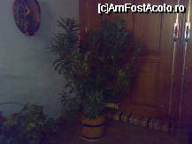 [P01]  -- <small>// FĂRĂ DESCRIERE</small> » foto by bogdan 75
 - 
<span class="allrVoted glyphicon glyphicon-heart hidden" id="av54420"></span>
<a class="m-l-10 hidden" id="sv54420" onclick="voting_Foto_DelVot(,54420,5098)" role="button">șterge vot <span class="glyphicon glyphicon-remove"></span></a>
<a id="v954420" class=" c-red"  onclick="voting_Foto_SetVot(54420)" role="button"><span class="glyphicon glyphicon-heart-empty"></span> <b>LIKE</b> = Votează poza</a> <img class="hidden"  id="f54420W9" src="/imagini/loader.gif" border="0" /><span class="AjErrMes hidden" id="e54420ErM"></span>
