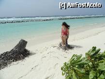 [P25] culorile erau mult mai aprinse si mai frumoase. sunt poze facute cu telefonul, aparatul foto l-am stricat la o plimbare cu caiacul....dar asta e alta poveste :) » foto by john_doe_gl
 - 
<span class="allrVoted glyphicon glyphicon-heart hidden" id="av285509"></span>
<a class="m-l-10 hidden" id="sv285509" onclick="voting_Foto_DelVot(,285509,5106)" role="button">șterge vot <span class="glyphicon glyphicon-remove"></span></a>
<a id="v9285509" class=" c-red"  onclick="voting_Foto_SetVot(285509)" role="button"><span class="glyphicon glyphicon-heart-empty"></span> <b>LIKE</b> = Votează poza</a> <img class="hidden"  id="f285509W9" src="/imagini/loader.gif" border="0" /><span class="AjErrMes hidden" id="e285509ErM"></span>