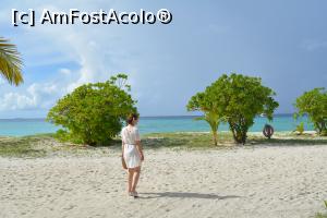 [P27] ziua 3, spre micul dejun » foto by barbu minel
 - 
<span class="allrVoted glyphicon glyphicon-heart hidden" id="av1366439"></span>
<a class="m-l-10 hidden" id="sv1366439" onclick="voting_Foto_DelVot(,1366439,5106)" role="button">șterge vot <span class="glyphicon glyphicon-remove"></span></a>
<a id="v91366439" class=" c-red"  onclick="voting_Foto_SetVot(1366439)" role="button"><span class="glyphicon glyphicon-heart-empty"></span> <b>LIKE</b> = Votează poza</a> <img class="hidden"  id="f1366439W9" src="/imagini/loader.gif" border="0" /><span class="AjErrMes hidden" id="e1366439ErM"></span>