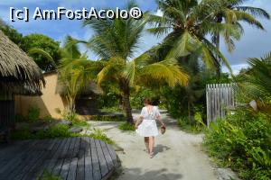 [P28] ziua 3, venind de la micul dejun » foto by barbu minel
 - 
<span class="allrVoted glyphicon glyphicon-heart hidden" id="av1366440"></span>
<a class="m-l-10 hidden" id="sv1366440" onclick="voting_Foto_DelVot(,1366440,5106)" role="button">șterge vot <span class="glyphicon glyphicon-remove"></span></a>
<a id="v91366440" class=" c-red"  onclick="voting_Foto_SetVot(1366440)" role="button"><span class="glyphicon glyphicon-heart-empty"></span> <b>LIKE</b> = Votează poza</a> <img class="hidden"  id="f1366440W9" src="/imagini/loader.gif" border="0" /><span class="AjErrMes hidden" id="e1366440ErM"></span>