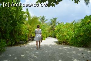 [P29] ziua 3, venind de la micul dejun » foto by barbu minel
 - 
<span class="allrVoted glyphicon glyphicon-heart hidden" id="av1366441"></span>
<a class="m-l-10 hidden" id="sv1366441" onclick="voting_Foto_DelVot(,1366441,5106)" role="button">șterge vot <span class="glyphicon glyphicon-remove"></span></a>
<a id="v91366441" class=" c-red"  onclick="voting_Foto_SetVot(1366441)" role="button"><span class="glyphicon glyphicon-heart-empty"></span> <b>LIKE</b> = Votează poza</a> <img class="hidden"  id="f1366441W9" src="/imagini/loader.gif" border="0" /><span class="AjErrMes hidden" id="e1366441ErM"></span>