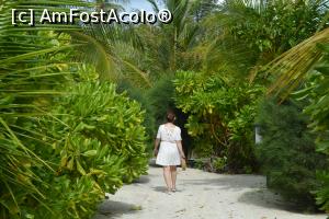 [P30] ziua 3, venind de la micul dejun » foto by barbu minel
 - 
<span class="allrVoted glyphicon glyphicon-heart hidden" id="av1366442"></span>
<a class="m-l-10 hidden" id="sv1366442" onclick="voting_Foto_DelVot(,1366442,5106)" role="button">șterge vot <span class="glyphicon glyphicon-remove"></span></a>
<a id="v91366442" class=" c-red"  onclick="voting_Foto_SetVot(1366442)" role="button"><span class="glyphicon glyphicon-heart-empty"></span> <b>LIKE</b> = Votează poza</a> <img class="hidden"  id="f1366442W9" src="/imagini/loader.gif" border="0" /><span class="AjErrMes hidden" id="e1366442ErM"></span>