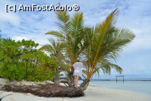 [P33] ziua 3, hai-hui prin copilărie și realitate » foto by barbu minel
 - 
<span class="allrVoted glyphicon glyphicon-heart hidden" id="av1366445"></span>
<a class="m-l-10 hidden" id="sv1366445" onclick="voting_Foto_DelVot(,1366445,5106)" role="button">șterge vot <span class="glyphicon glyphicon-remove"></span></a>
<a id="v91366445" class=" c-red"  onclick="voting_Foto_SetVot(1366445)" role="button"><span class="glyphicon glyphicon-heart-empty"></span> <b>LIKE</b> = Votează poza</a> <img class="hidden"  id="f1366445W9" src="/imagini/loader.gif" border="0" /><span class="AjErrMes hidden" id="e1366445ErM"></span>