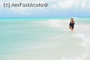 [P65] ziua 6, bucurie, fericire, la f&acirc;șia de nisip se plimbă un lemon shark » foto by barbu minel
 - 
<span class="allrVoted glyphicon glyphicon-heart hidden" id="av1366477"></span>
<a class="m-l-10 hidden" id="sv1366477" onclick="voting_Foto_DelVot(,1366477,5106)" role="button">șterge vot <span class="glyphicon glyphicon-remove"></span></a>
<a id="v91366477" class=" c-red"  onclick="voting_Foto_SetVot(1366477)" role="button"><span class="glyphicon glyphicon-heart-empty"></span> <b>LIKE</b> = Votează poza</a> <img class="hidden"  id="f1366477W9" src="/imagini/loader.gif" border="0" /><span class="AjErrMes hidden" id="e1366477ErM"></span>