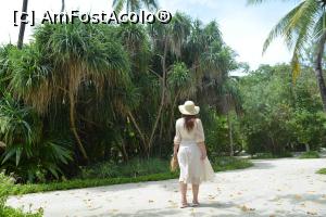 [P78] ziua 6, spre pr&acirc;nz » foto by barbu minel
 - 
<span class="allrVoted glyphicon glyphicon-heart hidden" id="av1366490"></span>
<a class="m-l-10 hidden" id="sv1366490" onclick="voting_Foto_DelVot(,1366490,5106)" role="button">șterge vot <span class="glyphicon glyphicon-remove"></span></a>
<a id="v91366490" class=" c-red"  onclick="voting_Foto_SetVot(1366490)" role="button"><span class="glyphicon glyphicon-heart-empty"></span> <b>LIKE</b> = Votează poza</a> <img class="hidden"  id="f1366490W9" src="/imagini/loader.gif" border="0" /><span class="AjErrMes hidden" id="e1366490ErM"></span>