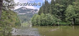 [P58] Bucovina in 4 zile - Popas la Lacul Rosu. » foto by iulianic
 - 
<span class="allrVoted glyphicon glyphicon-heart hidden" id="av1543177"></span>
<a class="m-l-10 hidden" id="sv1543177" onclick="voting_Foto_DelVot(,1543177,5114)" role="button">șterge vot <span class="glyphicon glyphicon-remove"></span></a>
<a id="v91543177" class=" c-red"  onclick="voting_Foto_SetVot(1543177)" role="button"><span class="glyphicon glyphicon-heart-empty"></span> <b>LIKE</b> = Votează poza</a> <img class="hidden"  id="f1543177W9" src="/imagini/loader.gif" border="0" /><span class="AjErrMes hidden" id="e1543177ErM"></span>