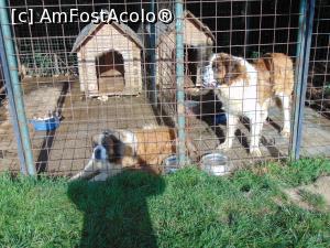 [P53] Locul de joaca al cateilor ... » foto by liviu49
 - 
<span class="allrVoted glyphicon glyphicon-heart hidden" id="av1302693"></span>
<a class="m-l-10 hidden" id="sv1302693" onclick="voting_Foto_DelVot(,1302693,5114)" role="button">șterge vot <span class="glyphicon glyphicon-remove"></span></a>
<a id="v91302693" class=" c-red"  onclick="voting_Foto_SetVot(1302693)" role="button"><span class="glyphicon glyphicon-heart-empty"></span> <b>LIKE</b> = Votează poza</a> <img class="hidden"  id="f1302693W9" src="/imagini/loader.gif" border="0" /><span class="AjErrMes hidden" id="e1302693ErM"></span>