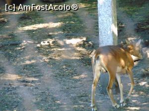 [P19]  -- <small>// FĂRĂ DESCRIERE</small> » foto by liviu49
 - 
<span class="allrVoted glyphicon glyphicon-heart hidden" id="av1303168"></span>
<a class="m-l-10 hidden" id="sv1303168" onclick="voting_Foto_DelVot(,1303168,5114)" role="button">șterge vot <span class="glyphicon glyphicon-remove"></span></a>
<a id="v91303168" class=" c-red"  onclick="voting_Foto_SetVot(1303168)" role="button"><span class="glyphicon glyphicon-heart-empty"></span> <b>LIKE</b> = Votează poza</a> <img class="hidden"  id="f1303168W9" src="/imagini/loader.gif" border="0" /><span class="AjErrMes hidden" id="e1303168ErM"></span>