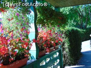 [P39] Aceleasi frumuseti florale . » foto by liviu49
 - 
<span class="allrVoted glyphicon glyphicon-heart hidden" id="av1303188"></span>
<a class="m-l-10 hidden" id="sv1303188" onclick="voting_Foto_DelVot(,1303188,5114)" role="button">șterge vot <span class="glyphicon glyphicon-remove"></span></a>
<a id="v91303188" class=" c-red"  onclick="voting_Foto_SetVot(1303188)" role="button"><span class="glyphicon glyphicon-heart-empty"></span> <b>LIKE</b> = Votează poza</a> <img class="hidden"  id="f1303188W9" src="/imagini/loader.gif" border="0" /><span class="AjErrMes hidden" id="e1303188ErM"></span>