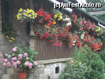 [P32] Tot la Moldovita » foto by Simonaaa*
 - 
<span class="allrVoted glyphicon glyphicon-heart hidden" id="av110845"></span>
<a class="m-l-10 hidden" id="sv110845" onclick="voting_Foto_DelVot(,110845,5114)" role="button">șterge vot <span class="glyphicon glyphicon-remove"></span></a>
<a id="v9110845" class=" c-red"  onclick="voting_Foto_SetVot(110845)" role="button"><span class="glyphicon glyphicon-heart-empty"></span> <b>LIKE</b> = Votează poza</a> <img class="hidden"  id="f110845W9" src="/imagini/loader.gif" border="0" /><span class="AjErrMes hidden" id="e110845ErM"></span>