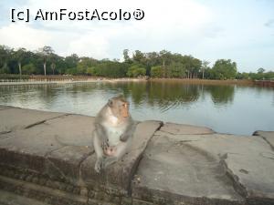 [P04] dumnealui la cersit de banane » foto by buterfly*
 - 
<span class="allrVoted glyphicon glyphicon-heart hidden" id="av953505"></span>
<a class="m-l-10 hidden" id="sv953505" onclick="voting_Foto_DelVot(,953505,5123)" role="button">șterge vot <span class="glyphicon glyphicon-remove"></span></a>
<a id="v9953505" class=" c-red"  onclick="voting_Foto_SetVot(953505)" role="button"><span class="glyphicon glyphicon-heart-empty"></span> <b>LIKE</b> = Votează poza</a> <img class="hidden"  id="f953505W9" src="/imagini/loader.gif" border="0" /><span class="AjErrMes hidden" id="e953505ErM"></span>