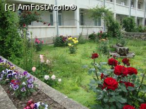 [P11] Anexele mănăstireşti au grădiniţe cu trandafiri superbi.  » foto by Floryn81
 - 
<span class="allrVoted glyphicon glyphicon-heart hidden" id="av867015"></span>
<a class="m-l-10 hidden" id="sv867015" onclick="voting_Foto_DelVot(,867015,5136)" role="button">șterge vot <span class="glyphicon glyphicon-remove"></span></a>
<a id="v9867015" class=" c-red"  onclick="voting_Foto_SetVot(867015)" role="button"><span class="glyphicon glyphicon-heart-empty"></span> <b>LIKE</b> = Votează poza</a> <img class="hidden"  id="f867015W9" src="/imagini/loader.gif" border="0" /><span class="AjErrMes hidden" id="e867015ErM"></span>