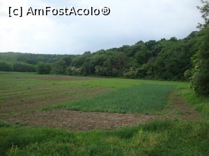 [P23] Împrejurimile mănăstirii - pământ roditor şi pădure ocrotitoare. » foto by Floryn81
 - 
<span class="allrVoted glyphicon glyphicon-heart hidden" id="av867027"></span>
<a class="m-l-10 hidden" id="sv867027" onclick="voting_Foto_DelVot(,867027,5136)" role="button">șterge vot <span class="glyphicon glyphicon-remove"></span></a>
<a id="v9867027" class=" c-red"  onclick="voting_Foto_SetVot(867027)" role="button"><span class="glyphicon glyphicon-heart-empty"></span> <b>LIKE</b> = Votează poza</a> <img class="hidden"  id="f867027W9" src="/imagini/loader.gif" border="0" /><span class="AjErrMes hidden" id="e867027ErM"></span>