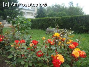[P27] Peste tot prin curte sunt flori care ne atrăgeau permanent privirile.  » foto by Floryn81
 - 
<span class="allrVoted glyphicon glyphicon-heart hidden" id="av867031"></span>
<a class="m-l-10 hidden" id="sv867031" onclick="voting_Foto_DelVot(,867031,5136)" role="button">șterge vot <span class="glyphicon glyphicon-remove"></span></a>
<a id="v9867031" class=" c-red"  onclick="voting_Foto_SetVot(867031)" role="button"><span class="glyphicon glyphicon-heart-empty"></span> <b>LIKE</b> = Votează poza</a> <img class="hidden"  id="f867031W9" src="/imagini/loader.gif" border="0" /><span class="AjErrMes hidden" id="e867031ErM"></span>
