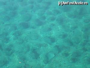 [P63] asa arata fundul marii in portul din Elafonisos » foto by dana2104
 - 
<span class="allrVoted glyphicon glyphicon-heart hidden" id="av557327"></span>
<a class="m-l-10 hidden" id="sv557327" onclick="voting_Foto_DelVot(,557327,5137)" role="button">șterge vot <span class="glyphicon glyphicon-remove"></span></a>
<a id="v9557327" class=" c-red"  onclick="voting_Foto_SetVot(557327)" role="button"><span class="glyphicon glyphicon-heart-empty"></span> <b>LIKE</b> = Votează poza</a> <img class="hidden"  id="f557327W9" src="/imagini/loader.gif" border="0" /><span class="AjErrMes hidden" id="e557327ErM"></span>