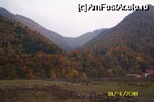 [P01] Tablou de toamna la Lepsa » foto by Alina53
 - 
<span class="allrVoted glyphicon glyphicon-heart hidden" id="av65273"></span>
<a class="m-l-10 hidden" id="sv65273" onclick="voting_Foto_DelVot(,65273,5170)" role="button">șterge vot <span class="glyphicon glyphicon-remove"></span></a>
<a id="v965273" class=" c-red"  onclick="voting_Foto_SetVot(65273)" role="button"><span class="glyphicon glyphicon-heart-empty"></span> <b>LIKE</b> = Votează poza</a> <img class="hidden"  id="f65273W9" src="/imagini/loader.gif" border="0" /><span class="AjErrMes hidden" id="e65273ErM"></span>