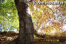 [P26] Culori si iar culori... » foto by Alina53
 - 
<span class="allrVoted glyphicon glyphicon-heart hidden" id="av65298"></span>
<a class="m-l-10 hidden" id="sv65298" onclick="voting_Foto_DelVot(,65298,5170)" role="button">șterge vot <span class="glyphicon glyphicon-remove"></span></a>
<a id="v965298" class=" c-red"  onclick="voting_Foto_SetVot(65298)" role="button"><span class="glyphicon glyphicon-heart-empty"></span> <b>LIKE</b> = Votează poza</a> <img class="hidden"  id="f65298W9" src="/imagini/loader.gif" border="0" /><span class="AjErrMes hidden" id="e65298ErM"></span>