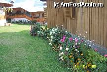 [P08] Un coltisor de gradina de la manastire » foto by Alina53
 - 
<span class="allrVoted glyphicon glyphicon-heart hidden" id="av65280"></span>
<a class="m-l-10 hidden" id="sv65280" onclick="voting_Foto_DelVot(,65280,5170)" role="button">șterge vot <span class="glyphicon glyphicon-remove"></span></a>
<a id="v965280" class=" c-red"  onclick="voting_Foto_SetVot(65280)" role="button"><span class="glyphicon glyphicon-heart-empty"></span> <b>LIKE</b> = Votează poza</a> <img class="hidden"  id="f65280W9" src="/imagini/loader.gif" border="0" /><span class="AjErrMes hidden" id="e65280ErM"></span>
