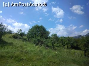 [P10] Argeș-i plin de verdeață și de bucurie. » foto by Mioritik
 - 
<span class="allrVoted glyphicon glyphicon-heart hidden" id="av1254067"></span>
<a class="m-l-10 hidden" id="sv1254067" onclick="voting_Foto_DelVot(,1254067,5176)" role="button">șterge vot <span class="glyphicon glyphicon-remove"></span></a>
<a id="v91254067" class=" c-red"  onclick="voting_Foto_SetVot(1254067)" role="button"><span class="glyphicon glyphicon-heart-empty"></span> <b>LIKE</b> = Votează poza</a> <img class="hidden"  id="f1254067W9" src="/imagini/loader.gif" border="0" /><span class="AjErrMes hidden" id="e1254067ErM"></span>