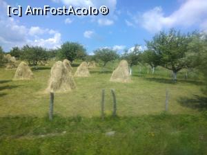 [P19] Argeș-i plin de verdeață și de bucurie. » foto by Mioritik
 - 
<span class="allrVoted glyphicon glyphicon-heart hidden" id="av1254076"></span>
<a class="m-l-10 hidden" id="sv1254076" onclick="voting_Foto_DelVot(,1254076,5176)" role="button">șterge vot <span class="glyphicon glyphicon-remove"></span></a>
<a id="v91254076" class=" c-red"  onclick="voting_Foto_SetVot(1254076)" role="button"><span class="glyphicon glyphicon-heart-empty"></span> <b>LIKE</b> = Votează poza</a> <img class="hidden"  id="f1254076W9" src="/imagini/loader.gif" border="0" /><span class="AjErrMes hidden" id="e1254076ErM"></span>