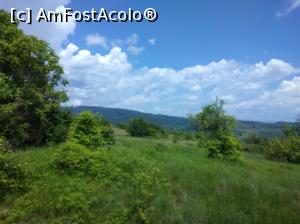 [P30] Argeș-i plin de verdeață și de bucurie. » foto by Mioritik
 - 
<span class="allrVoted glyphicon glyphicon-heart hidden" id="av1254087"></span>
<a class="m-l-10 hidden" id="sv1254087" onclick="voting_Foto_DelVot(,1254087,5176)" role="button">șterge vot <span class="glyphicon glyphicon-remove"></span></a>
<a id="v91254087" class=" c-red"  onclick="voting_Foto_SetVot(1254087)" role="button"><span class="glyphicon glyphicon-heart-empty"></span> <b>LIKE</b> = Votează poza</a> <img class="hidden"  id="f1254087W9" src="/imagini/loader.gif" border="0" /><span class="AjErrMes hidden" id="e1254087ErM"></span>