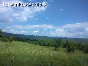 [P31] Argeș-i plin de verdeață și de bucurie. » foto by Mioritik
 - 
<span class="allrVoted glyphicon glyphicon-heart hidden" id="av1254088"></span>
<a class="m-l-10 hidden" id="sv1254088" onclick="voting_Foto_DelVot(,1254088,5176)" role="button">șterge vot <span class="glyphicon glyphicon-remove"></span></a>
<a id="v91254088" class=" c-red"  onclick="voting_Foto_SetVot(1254088)" role="button"><span class="glyphicon glyphicon-heart-empty"></span> <b>LIKE</b> = Votează poza</a> <img class="hidden"  id="f1254088W9" src="/imagini/loader.gif" border="0" /><span class="AjErrMes hidden" id="e1254088ErM"></span>