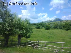 [P34] Argeș-i plin de verdeață și de bucurie. » foto by Mioritik
 - 
<span class="allrVoted glyphicon glyphicon-heart hidden" id="av1254091"></span>
<a class="m-l-10 hidden" id="sv1254091" onclick="voting_Foto_DelVot(,1254091,5176)" role="button">șterge vot <span class="glyphicon glyphicon-remove"></span></a>
<a id="v91254091" class=" c-red"  onclick="voting_Foto_SetVot(1254091)" role="button"><span class="glyphicon glyphicon-heart-empty"></span> <b>LIKE</b> = Votează poza</a> <img class="hidden"  id="f1254091W9" src="/imagini/loader.gif" border="0" /><span class="AjErrMes hidden" id="e1254091ErM"></span>