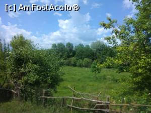 [P04] Argeș-i plin de verdeață și de bucurie. » foto by Mioritik
 - 
<span class="allrVoted glyphicon glyphicon-heart hidden" id="av1254061"></span>
<a class="m-l-10 hidden" id="sv1254061" onclick="voting_Foto_DelVot(,1254061,5176)" role="button">șterge vot <span class="glyphicon glyphicon-remove"></span></a>
<a id="v91254061" class=" c-red"  onclick="voting_Foto_SetVot(1254061)" role="button"><span class="glyphicon glyphicon-heart-empty"></span> <b>LIKE</b> = Votează poza</a> <img class="hidden"  id="f1254061W9" src="/imagini/loader.gif" border="0" /><span class="AjErrMes hidden" id="e1254061ErM"></span>