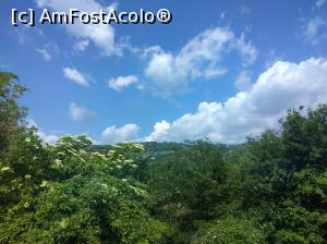 [P51] Argeș-i plin de verdeață și de bucurie. » foto by Mioritik
 - 
<span class="allrVoted glyphicon glyphicon-heart hidden" id="av1254108"></span>
<a class="m-l-10 hidden" id="sv1254108" onclick="voting_Foto_DelVot(,1254108,5176)" role="button">șterge vot <span class="glyphicon glyphicon-remove"></span></a>
<a id="v91254108" class=" c-red"  onclick="voting_Foto_SetVot(1254108)" role="button"><span class="glyphicon glyphicon-heart-empty"></span> <b>LIKE</b> = Votează poza</a> <img class="hidden"  id="f1254108W9" src="/imagini/loader.gif" border="0" /><span class="AjErrMes hidden" id="e1254108ErM"></span>