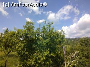 [P54] Argeș-i plin de verdeață și de bucurie. » foto by Mioritik
 - 
<span class="allrVoted glyphicon glyphicon-heart hidden" id="av1254111"></span>
<a class="m-l-10 hidden" id="sv1254111" onclick="voting_Foto_DelVot(,1254111,5176)" role="button">șterge vot <span class="glyphicon glyphicon-remove"></span></a>
<a id="v91254111" class=" c-red"  onclick="voting_Foto_SetVot(1254111)" role="button"><span class="glyphicon glyphicon-heart-empty"></span> <b>LIKE</b> = Votează poza</a> <img class="hidden"  id="f1254111W9" src="/imagini/loader.gif" border="0" /><span class="AjErrMes hidden" id="e1254111ErM"></span>