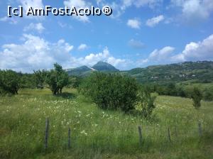 [P09] Argeș-i plin de verdeață și de bucurie. » foto by Mioritik
 - 
<span class="allrVoted glyphicon glyphicon-heart hidden" id="av1254066"></span>
<a class="m-l-10 hidden" id="sv1254066" onclick="voting_Foto_DelVot(,1254066,5176)" role="button">șterge vot <span class="glyphicon glyphicon-remove"></span></a>
<a id="v91254066" class=" c-red"  onclick="voting_Foto_SetVot(1254066)" role="button"><span class="glyphicon glyphicon-heart-empty"></span> <b>LIKE</b> = Votează poza</a> <img class="hidden"  id="f1254066W9" src="/imagini/loader.gif" border="0" /><span class="AjErrMes hidden" id="e1254066ErM"></span>