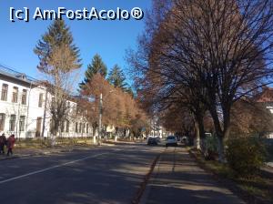 [P20] Câmpulung Muscel, Negru Vodă » foto by Mioritik
 - 
<span class="allrVoted glyphicon glyphicon-heart hidden" id="av1300713"></span>
<a class="m-l-10 hidden" id="sv1300713" onclick="voting_Foto_DelVot(,1300713,5176)" role="button">șterge vot <span class="glyphicon glyphicon-remove"></span></a>
<a id="v91300713" class=" c-red"  onclick="voting_Foto_SetVot(1300713)" role="button"><span class="glyphicon glyphicon-heart-empty"></span> <b>LIKE</b> = Votează poza</a> <img class="hidden"  id="f1300713W9" src="/imagini/loader.gif" border="0" /><span class="AjErrMes hidden" id="e1300713ErM"></span>