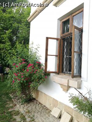 [P32] Fereastră la parter » foto by crismis
 - 
<span class="allrVoted glyphicon glyphicon-heart hidden" id="av972798"></span>
<a class="m-l-10 hidden" id="sv972798" onclick="voting_Foto_DelVot(,972798,5176)" role="button">șterge vot <span class="glyphicon glyphicon-remove"></span></a>
<a id="v9972798" class=" c-red"  onclick="voting_Foto_SetVot(972798)" role="button"><span class="glyphicon glyphicon-heart-empty"></span> <b>LIKE</b> = Votează poza</a> <img class="hidden"  id="f972798W9" src="/imagini/loader.gif" border="0" /><span class="AjErrMes hidden" id="e972798ErM"></span>