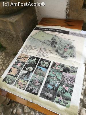 [P35] Material didactic dl. Nica :)  » foto by crismis
 - 
<span class="allrVoted glyphicon glyphicon-heart hidden" id="av972801"></span>
<a class="m-l-10 hidden" id="sv972801" onclick="voting_Foto_DelVot(,972801,5176)" role="button">șterge vot <span class="glyphicon glyphicon-remove"></span></a>
<a id="v9972801" class=" c-red"  onclick="voting_Foto_SetVot(972801)" role="button"><span class="glyphicon glyphicon-heart-empty"></span> <b>LIKE</b> = Votează poza</a> <img class="hidden"  id="f972801W9" src="/imagini/loader.gif" border="0" /><span class="AjErrMes hidden" id="e972801ErM"></span>