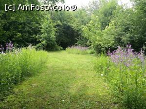 [P45] Parcul Golescu » foto by crismis
 - 
<span class="allrVoted glyphicon glyphicon-heart hidden" id="av972811"></span>
<a class="m-l-10 hidden" id="sv972811" onclick="voting_Foto_DelVot(,972811,5176)" role="button">șterge vot <span class="glyphicon glyphicon-remove"></span></a>
<a id="v9972811" class=" c-red"  onclick="voting_Foto_SetVot(972811)" role="button"><span class="glyphicon glyphicon-heart-empty"></span> <b>LIKE</b> = Votează poza</a> <img class="hidden"  id="f972811W9" src="/imagini/loader.gif" border="0" /><span class="AjErrMes hidden" id="e972811ErM"></span>