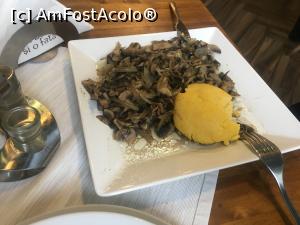 [P20] Ciuperci, neotrăvite » foto by Yersinia Pestis
 - 
<span class="allrVoted glyphicon glyphicon-heart hidden" id="av1068237"></span>
<a class="m-l-10 hidden" id="sv1068237" onclick="voting_Foto_DelVot(,1068237,5176)" role="button">șterge vot <span class="glyphicon glyphicon-remove"></span></a>
<a id="v91068237" class=" c-red"  onclick="voting_Foto_SetVot(1068237)" role="button"><span class="glyphicon glyphicon-heart-empty"></span> <b>LIKE</b> = Votează poza</a> <img class="hidden"  id="f1068237W9" src="/imagini/loader.gif" border="0" /><span class="AjErrMes hidden" id="e1068237ErM"></span>