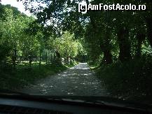 [P07] Drumul spre pastravarie » foto by nnaaee
 - 
<span class="allrVoted glyphicon glyphicon-heart hidden" id="av244138"></span>
<a class="m-l-10 hidden" id="sv244138" onclick="voting_Foto_DelVot(,244138,5176)" role="button">șterge vot <span class="glyphicon glyphicon-remove"></span></a>
<a id="v9244138" class=" c-red"  onclick="voting_Foto_SetVot(244138)" role="button"><span class="glyphicon glyphicon-heart-empty"></span> <b>LIKE</b> = Votează poza</a> <img class="hidden"  id="f244138W9" src="/imagini/loader.gif" border="0" /><span class="AjErrMes hidden" id="e244138ErM"></span>