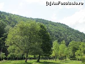 [P04]  -- <small>// FĂRĂ DESCRIERE</small> » foto by elviramvio
 - 
<span class="allrVoted glyphicon glyphicon-heart hidden" id="av634604"></span>
<a class="m-l-10 hidden" id="sv634604" onclick="voting_Foto_DelVot(,634604,5176)" role="button">șterge vot <span class="glyphicon glyphicon-remove"></span></a>
<a id="v9634604" class=" c-red"  onclick="voting_Foto_SetVot(634604)" role="button"><span class="glyphicon glyphicon-heart-empty"></span> <b>LIKE</b> = Votează poza</a> <img class="hidden"  id="f634604W9" src="/imagini/loader.gif" border="0" /><span class="AjErrMes hidden" id="e634604ErM"></span>