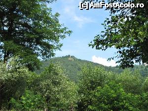 [P05]  -- <small>// FĂRĂ DESCRIERE</small> » foto by elviramvio
 - 
<span class="allrVoted glyphicon glyphicon-heart hidden" id="av634605"></span>
<a class="m-l-10 hidden" id="sv634605" onclick="voting_Foto_DelVot(,634605,5176)" role="button">șterge vot <span class="glyphicon glyphicon-remove"></span></a>
<a id="v9634605" class=" c-red"  onclick="voting_Foto_SetVot(634605)" role="button"><span class="glyphicon glyphicon-heart-empty"></span> <b>LIKE</b> = Votează poza</a> <img class="hidden"  id="f634605W9" src="/imagini/loader.gif" border="0" /><span class="AjErrMes hidden" id="e634605ErM"></span>